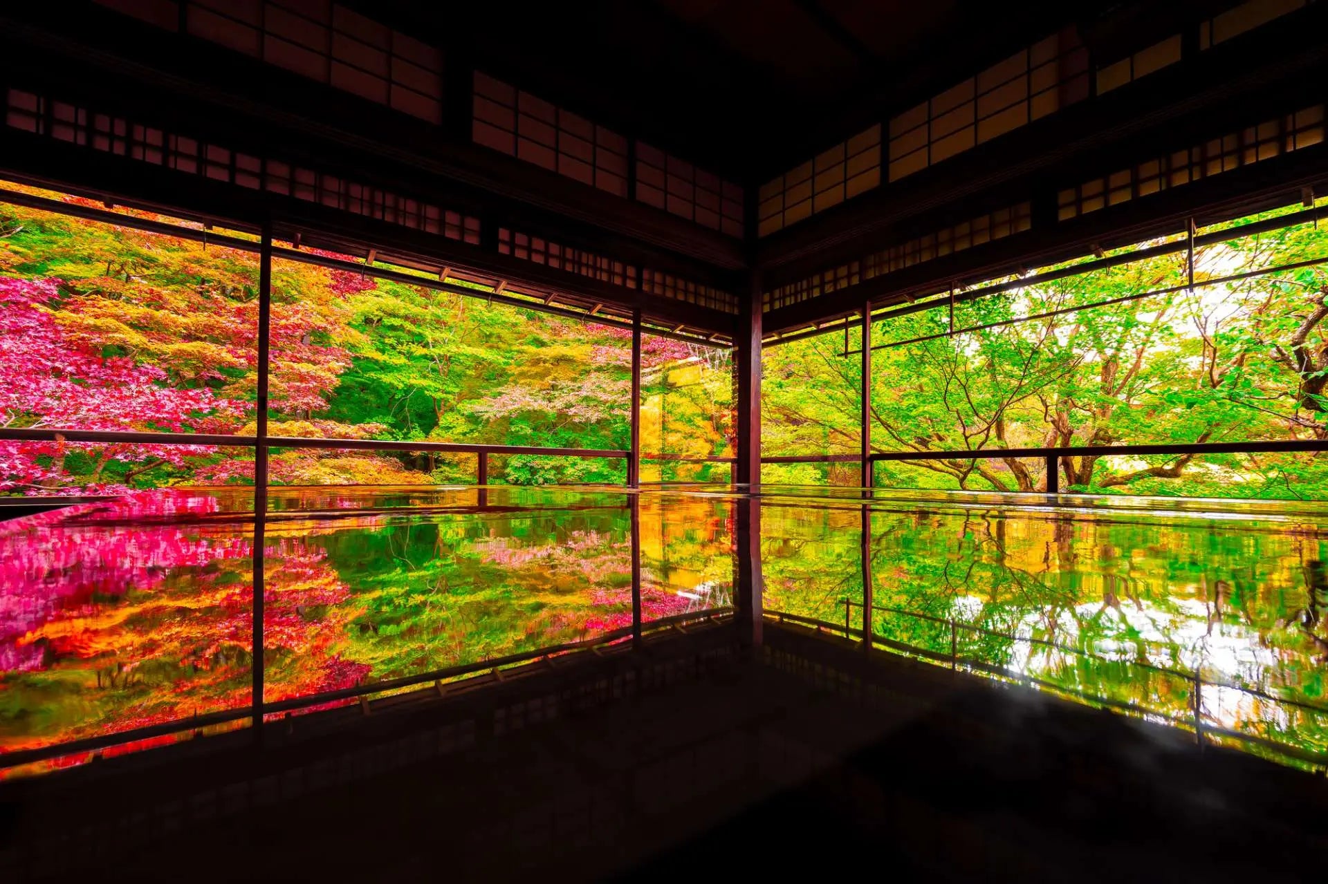Japan Golden Route Momiji Edition