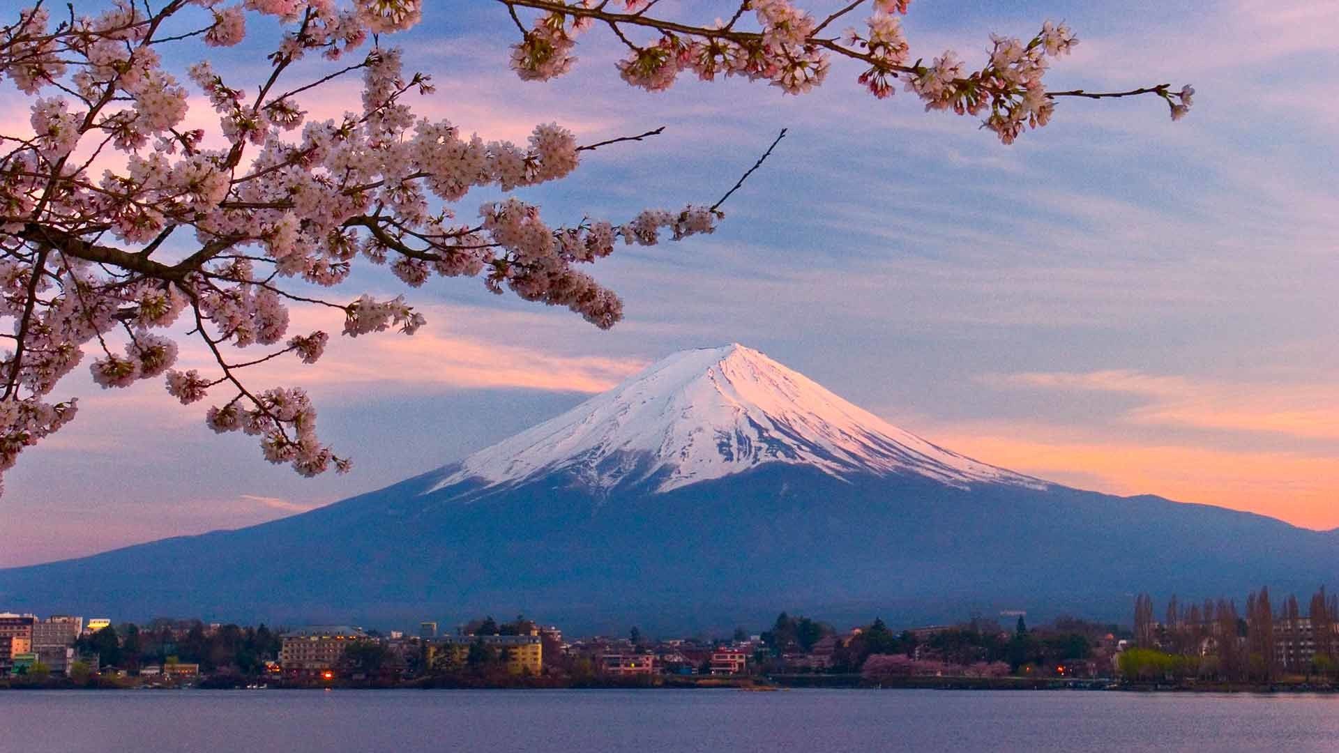 Japan Golden Route Sakura Edition